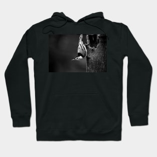 Nuthatch Hoodie